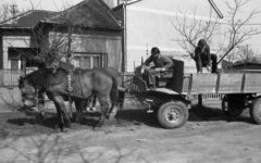 Magyarország, Budapest XX., Köztemető utca az Alsó határút közelében., 1981, Gulyás Zsuzsa, Budapest, lovaskocsi, Fortepan #186515