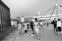 Magyarország, Városliget, Budapest XIV., a felvétel a Budapesti Nemzetközi Vásár területén tartott kutyakiállításon készült., 1967, Fortepan/Album037, kutya, Budapest, Fortepan #186723