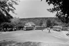 Hungary, Budapest II.,Budapest III., autóbusz-végállomás a Hármashatárhegyi útnál a Fenyőgyöngye étterem előtt. A felvétel a Szépvölgyi út felől készült., 1965, Fortepan/Album037, Budapest, Fortepan #186756