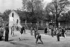 1952, Fortepan/Album038, nők, sport, sportbíró, röplabda, Fortepan #186914