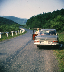 Hungary, a 2505-ös számú út Répáshuta közelében., 1966, Markus Marianna, colorful, Mercedes-brand, Fortepan #187037