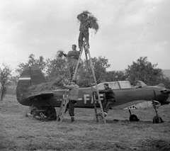 Magyarország, Kismaros, Jakovlev Jak-18 Fürj típusú repülőgép a Zápor c. film forgatásán., 1960, Kotnyek Antal, filmforgatás, közlekedés, szovjet gyártmány, repülőgép, létra, Jakovlev-márka, Fortepan #18704