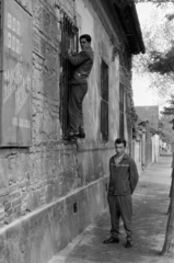 Hungary, Budapest XXIII., Erzsébet utca, a Szitás utca 73. számú ház mellett. A kép forrását kérjük így adja meg: Fortepan / Budapest Főváros Levéltára. Levéltári jelzet: HU.BFL.XV.19.c.10, 1963, Budapest Főváros Levéltára / BRFK helyszínelési fényképei, BRFK Hivatala Bűnügyi Technikai Osztály, Budapest, Fortepan #187213