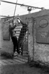 A kép forrását kérjük így adja meg: Fortepan / Budapest Főváros Levéltára. Levéltári jelzet: HU.BFL.XV.19.c.10, 1961, Budapest Főváros Levéltára / BRFK helyszínelési fényképei, BRFK Hivatala Bűnügyi Technikai Osztály, Fortepan #187237