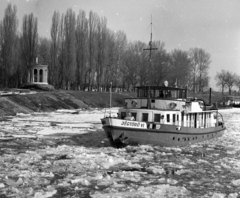 Magyarország, Baja, Sugovica (Kamarás-Duna), 0+150m, a JÉGTÖRŐ VI halad kifelé a Dunára a Türr-emlékmű mellett., 1971, Urbán Tamás, hajó, jégzajlás, Jégtörő VI. hajó, Fortepan #18736