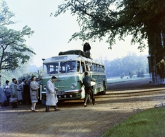 Magyarország, Martonvásár, a Brunszvik-kastély parkja., 1960, Fortepan/Album018, színes, autóbusz, Fortepan #187384