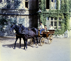 Magyarország, Martonvásár, a Brunszvik-kastély parkja., 1960, Fortepan/Album018, színes, repkény, kocsis, fogat, Fortepan #187398