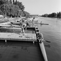 Magyarország, Budapest XXI., Ráckevei (Soroksári)-Duna, Csepel SC vízisporttelep., 1974, Szalay Béla, Budapest, Fortepan #187675