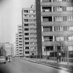 Hungary, Budapest XI., Albert (Szabados Sándor) utca a Rácz László utcától az Etele (Szakasits Árpád) úti sávház felé nézve., 1978, Szalay Béla, Budapest, Fortepan #187722