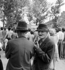 Magyarország, Gyulaháza, Petőfi Sándor utca, háttérben az iskola. A felvétel Farkas Bertalan űrhajós látogatása alkalmával készült., 1980, Szalay Béla, Fortepan #187738