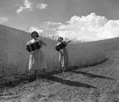 Hungary, Solymár, 1936, Urbán gyűjtemény, accordion, hillside, girl, Fortepan #18775