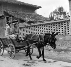 Románia, 1970, Szalay Béla, Fortepan #187790