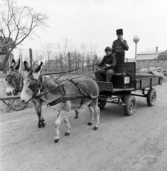 Magyarország, Kocs, Árpád utca., 1983, Szalay Béla, Fortepan #187819