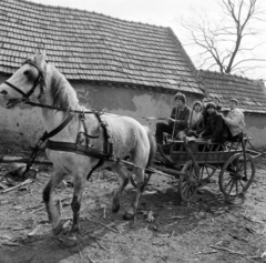 Magyarország, Kocs, 1983, Szalay Béla, Fortepan #187820