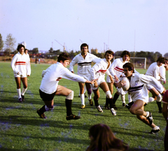 Magyarország, Budapest XI., Bogdánfy utca, BEAC sporttelep., 1981, Szalay Béla, színes, Budapest, rögbi, Fortepan #188075