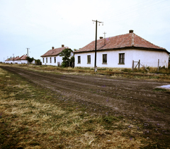 Magyarország, Pély, Hatrongyos tanya., 1984, Szalay Béla, színes, Fortepan #188126