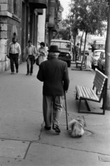 Magyarország, Budapest V., Belgrád rakpart, a felvétel a 17. számú ház előtt készült., 1985, Szalay Béla, kutya, Budapest, Fortepan #188162