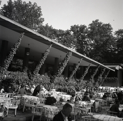 Németország, Berlin, Tiergarten, Krollgarten (később Platz der Republik)., 1936, Lőrincze Judit, Fortepan #188568