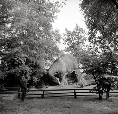 Németország, Hamburg, Lokstedter Grenzstrasse, Hagenbeck Állatkert. Josef Pallenberg szobrászművész 1909-ben készített dinoszaurusz betonszobra., 1936, Lőrincze Judit, Fortepan #188579