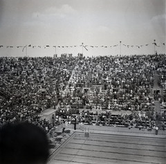 Németország, Berlin, Olimpiai Úszóstadion, a XI. nyári olimpiai játékok alatt., 1936, Lőrincze Judit, Fortepan #188601