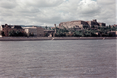 Magyarország, Budapest I., a Várkert (Groza Péter) rakpart és a Budavári Palota (korábban Királyi Palota) a pesti alsó rakpart felől nézve., 1959, Lőrincze Judit, színes, Budapest, Fortepan #188669