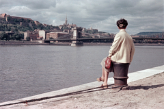 Magyarország, Budapest I., a pesti alsó rakpart a Széchenyi Lánchíd felé nézve., 1959, Lőrincze Judit, színes, Budapest, Fortepan #188671