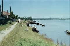 Magyarország, Mohács, Duna-part., 1958, Lőrincze Judit, színes, Fortepan #188729