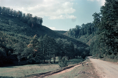 Magyarország, Bakonybél, a Gerence-völgy a falu közelében., 1959, Lőrincze Judit, színes, hegyoldal, erdő, Fortepan #188746