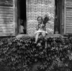 1951, Merza József, bouquet, girl, summer, venetian blind, sitting on a windowsill, curtain, Fortepan #188869