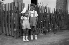 1949, Merza József, ribbon, girl, kid, fence, flower, brothers, Fortepan #188875