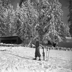 1940, Magyar Földrajzi Múzeum / Lang Sándor, skiing, Fortepan #188897