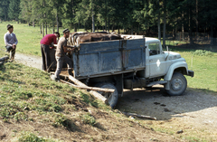 Románia,Erdély, 1982, Magyar Földrajzi Múzeum / Nemerkényi, Fortepan #188930