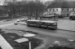 Magyarország, Óbuda, Budapest III., Szentlélek (Korvin Ottó) tér, autóbusz-végállomás., 1980, Orosz István, Budapest, autóbusz, Ikarus-márka, Ikarus 180, Ikarus 280, Fortepan #188973