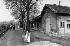 Magyarország, Váchartyán, Rudnaykert megállóhely., 1983, Orosz István, vasútállomás, Fortepan #189071