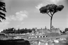 Olaszország, Róma, Forum Romanum., 1960, Palkó Zsolt, antik kultúra, rom, műemlék, Fortepan #189140