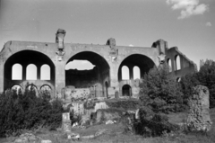 Olaszország, Róma, Forum Romanum, Constantinus és Maxentius bazilikája., 1960, Palkó Zsolt, antik kultúra, rom, Fortepan #189167