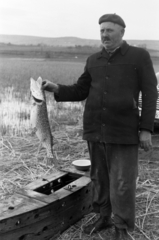 Magyarország,Velencei-tó, Dinnyés, 1958, Tölg Anna, hal, zsákmány, Fortepan #189405