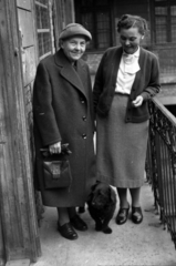 1958, Tölg Anna, dog, Dachshund, old person, courtyard balcony, Fortepan #189412