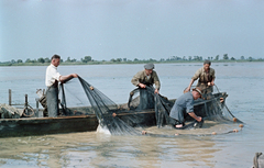 1959, Tölg Anna, színes, halászat, Fortepan #189447