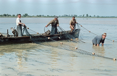 1959, Tölg Anna, színes, halászat, Fortepan #189448