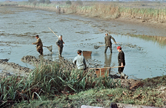 1959, Tölg Anna, színes, halászat, Fortepan #189514