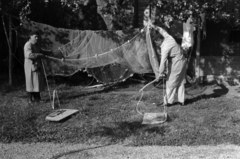 Magyarország,Balaton, Tihany, a Magyar Tudományos Akadémia Biológiai Kutatóintézete (később Ökológiai Kutatóközpont Balatoni Limnológiai Intézet)., 1960, Tölg Anna, munkaköpeny, halászháló, vizsgálat, Fortepan #189575