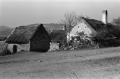 Magyarország,Balaton, Tihany, a Csokonai utca 66. szám épületei a Kossuth Lajos utca felől nézve., 1960, Tölg Anna, parasztház, földút, Fortepan #189620