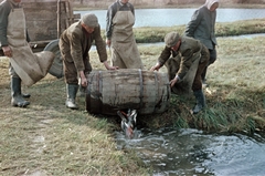 Lengyelország, 1961, Tölg Anna, színes, Fortepan #189713