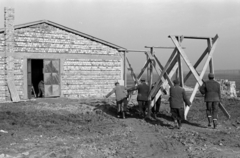 Magyarország, Százhalombatta, a Temperáltvizű Halszaporító Gazdaság építkezése., 1972, Tölg Anna, Fortepan #189745