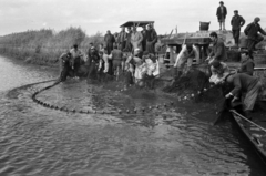 Magyarország, Pákozd, Dinnyési halgazdaság, lehalászás., 1962, Tölg Anna, Fortepan #189761