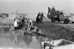 Magyarország, Pákozd, Dinnyési halgazdaság, lehalászás., 1962, Tölg Anna, Fortepan #189768