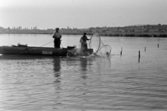 1962, Tölg Anna, Fortepan #189783