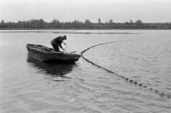 1962, Tölg Anna, Fortepan #189827