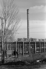 Magyarország, Százhalombatta, Temperáltvizű Halszaporító Gazdaság, tereprendezési munkálatok, háttérben a Dunamenti Erőmű., 1972, Tölg Anna, Fortepan #189833